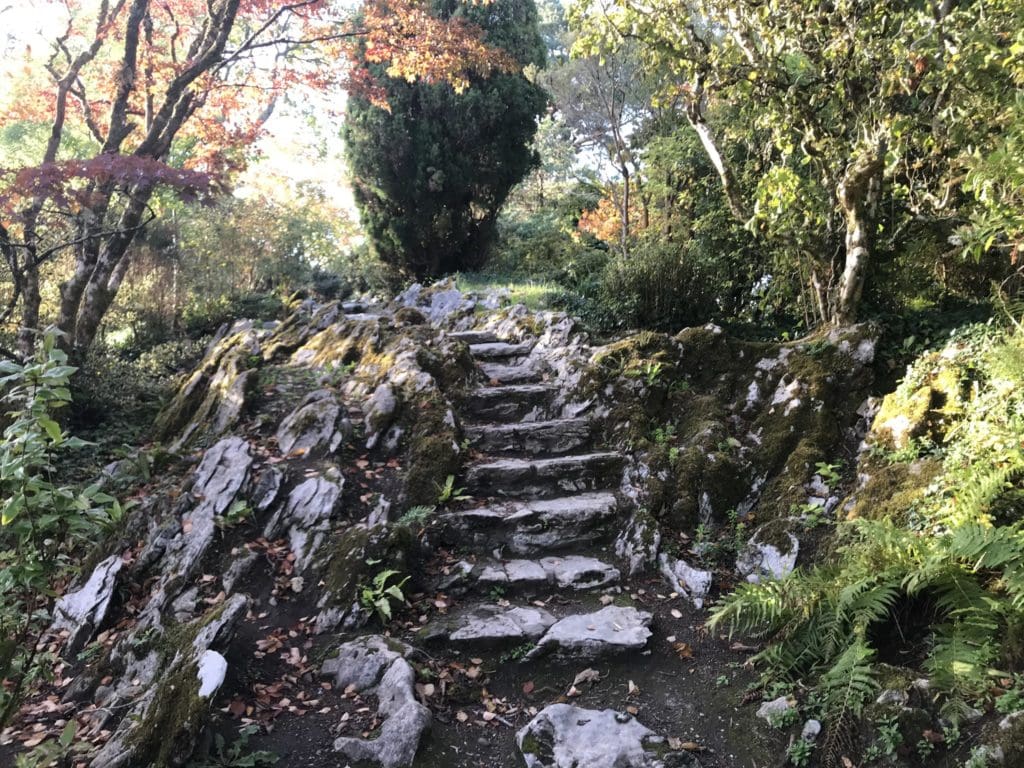 90703801_2988953701166624_4860588869403279360_o-1024x768