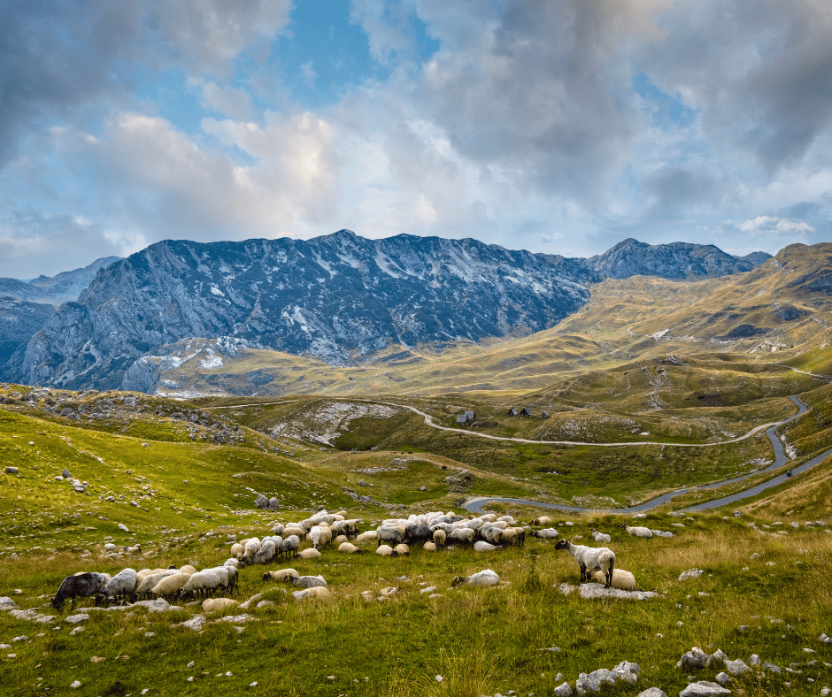 Breathtaking view of Durmitor National Park in Montenegro, with its rugged mountain peaks, deep canyons, and pristine lakes surrounded by lush forests, offering a stunning natural landscape and a haven for outdoor enthusiasts. 