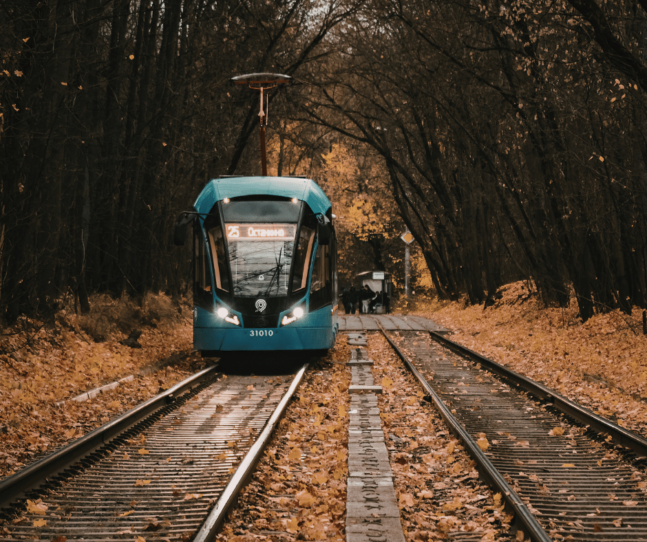 blue tram in the autumn forest in Wroclaw, Poland