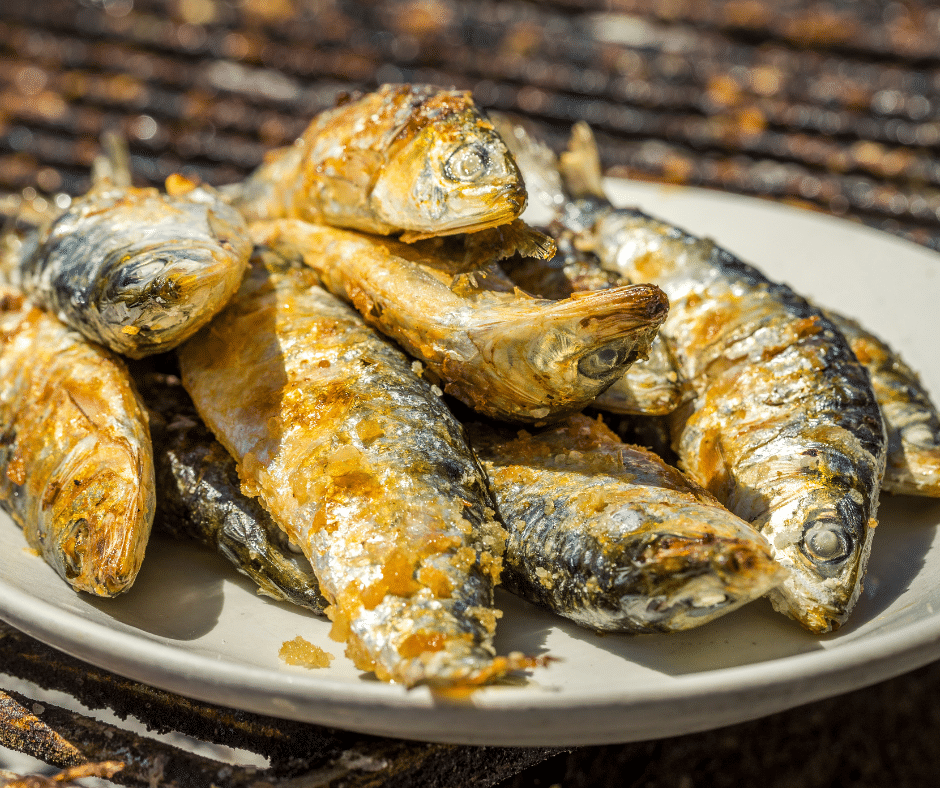 barbecued sardines, traditional Portuguese food